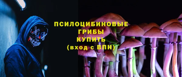 бошки Алексеевка